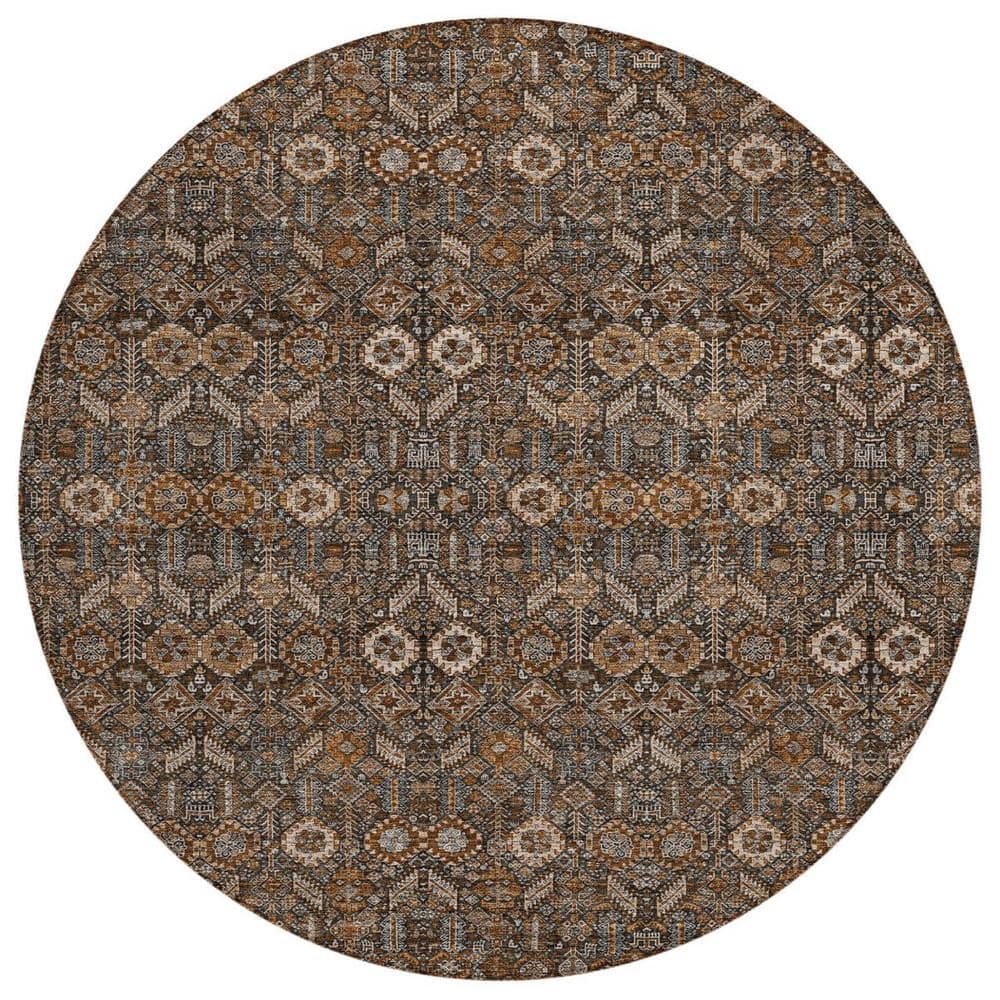 Chocolate 8 ft. Round Woven Floral Round Indoor/Outdoor Area Rug price history on PriceWatchPro