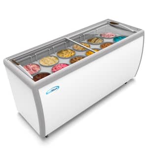 70 in. 12 Tub Ice Cream Dipping Cabinet Display Freezer with Sliding Glass Door.