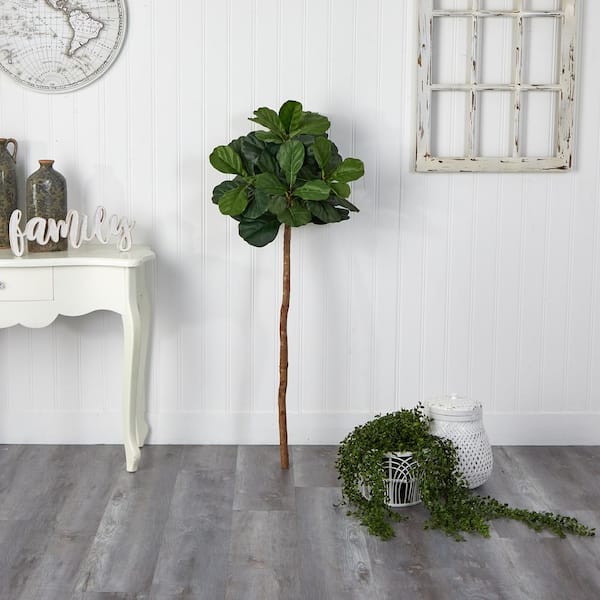 Maia Shop Olive, Artificial Tree with Natural Trunks, Made with The Best  Materials, Ideal for Home Decoration, Artificial Plant 5 feet Tall - 60