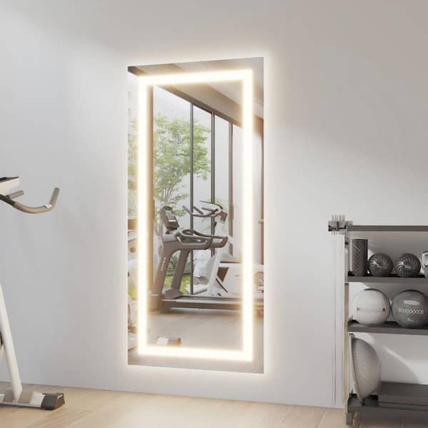 ORGANNICE 30 in. W x 60 in. H LED Rectangle Frameless Wall-Mounted
