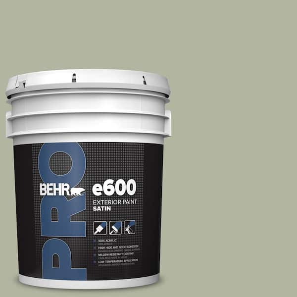 5 gal. #PPU11-09 Environmental Satin Exterior Paint
