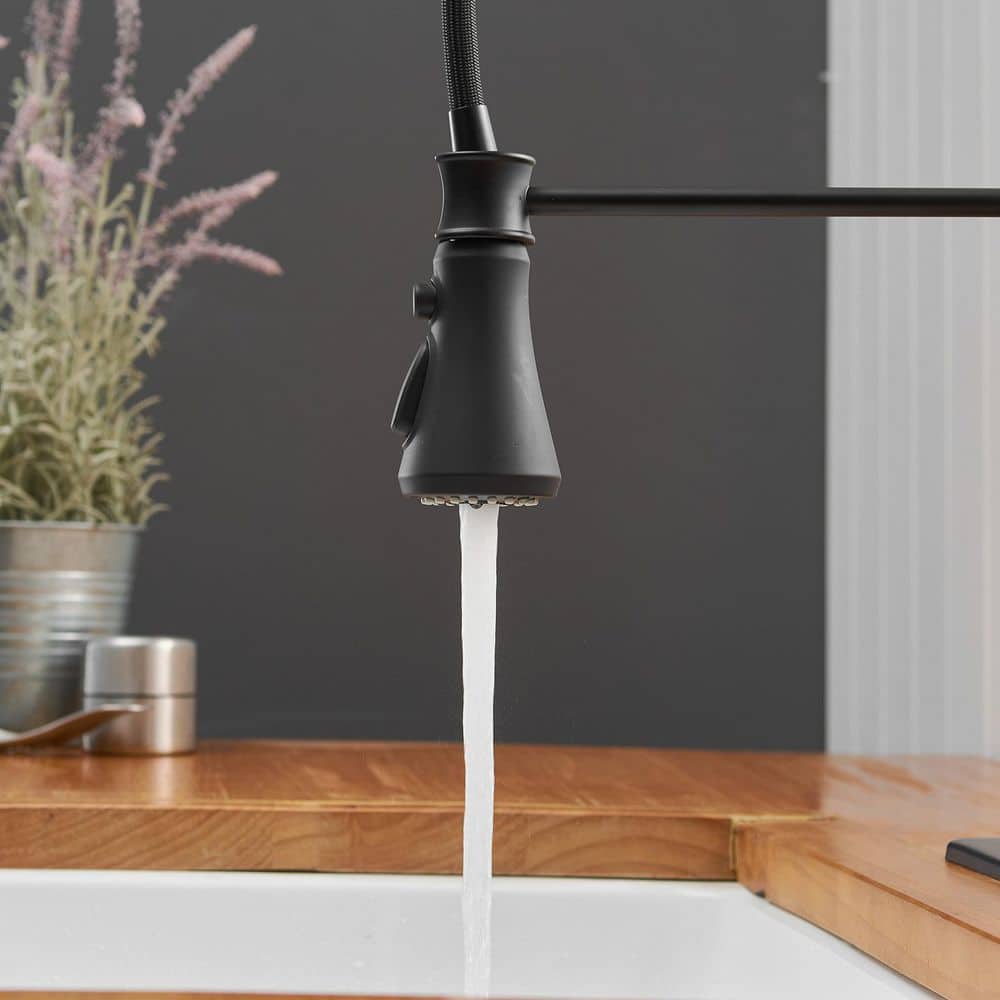 Matte Black Pull-Down Kitchen Faucet with Deck Plate