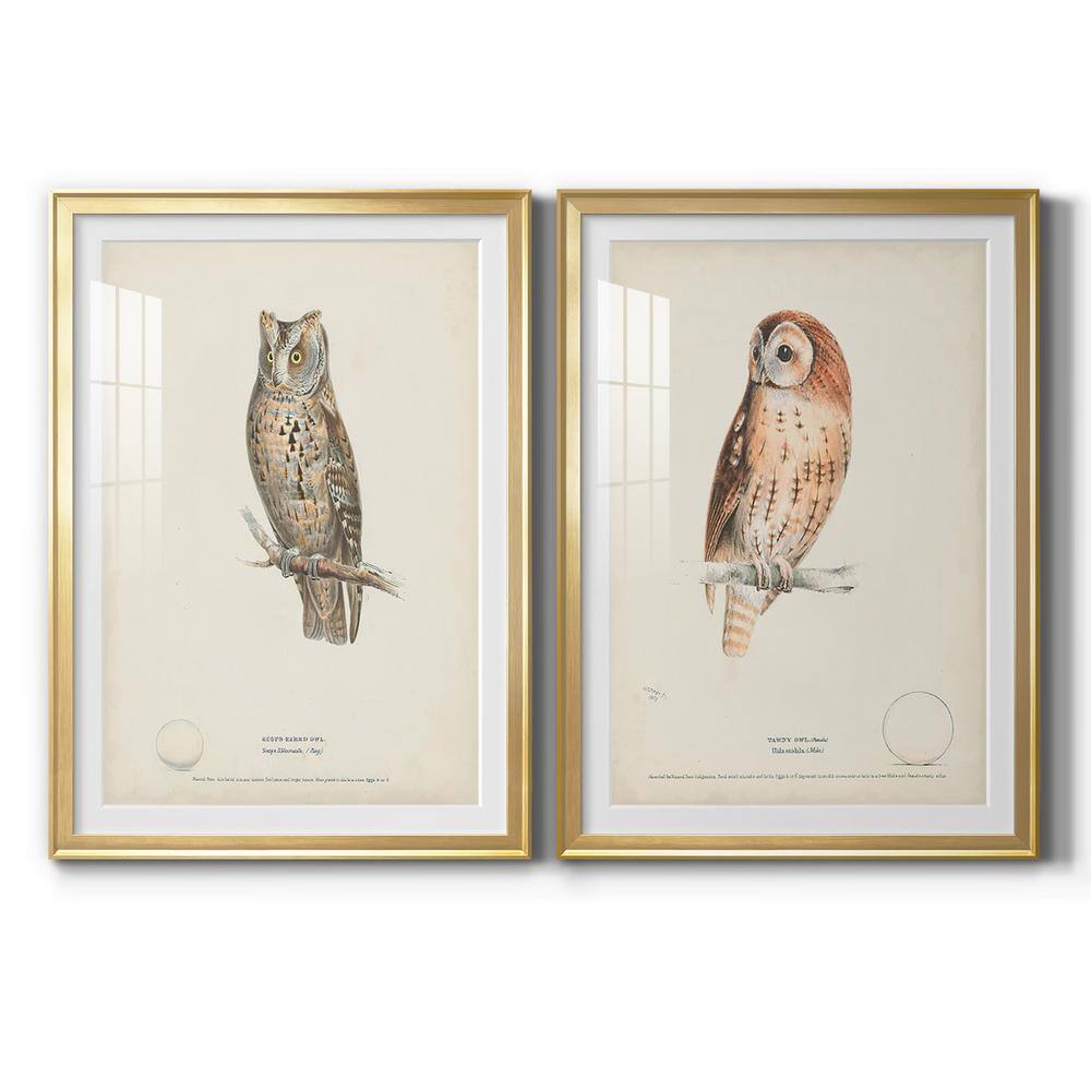 Wexford Home Wings Galore I By Wexford Homes 2Pcs Framed Abstract