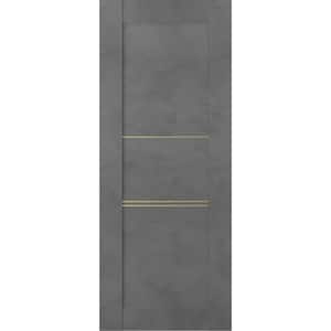 Vona 07 3H Gold 36 in. W x 80 in. H x 1-3/4 in. D 1-Panel Solid Core Dark Urban Prefinished Wood Interior Door Slab