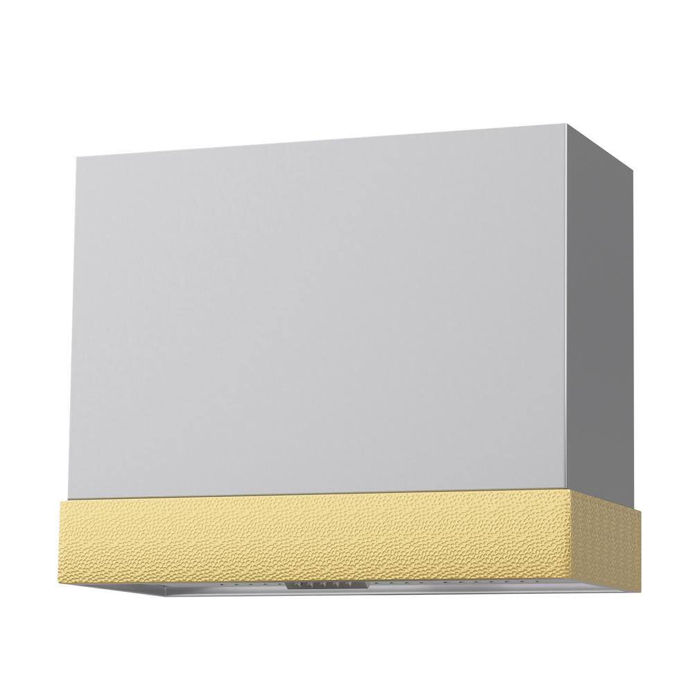 36 in. Stainless Steel Range Hood with Vent Motor, 600 CFM, 3-Speed, Wall Mount, in Brushed Stainless Steel with Gold