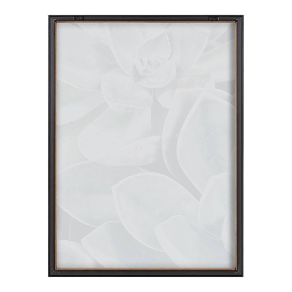 Blake Botanical Succulent Plants Framed Glass Wall Art, 18" x 24"