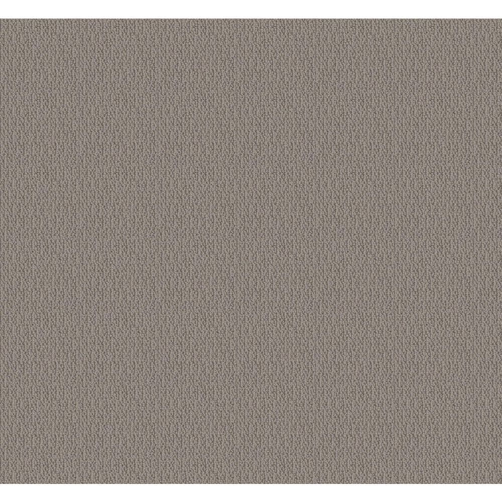 8 in. x 8 in. Loop Carpet Sample - Alluring Abodes - Color Shade price history on PriceWatchPro