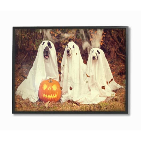 11 in. x 14 in. "Vintage Photography Halloween Pumpkin And Ghost Dogs" by Daphne Polselli Framed Wall Art