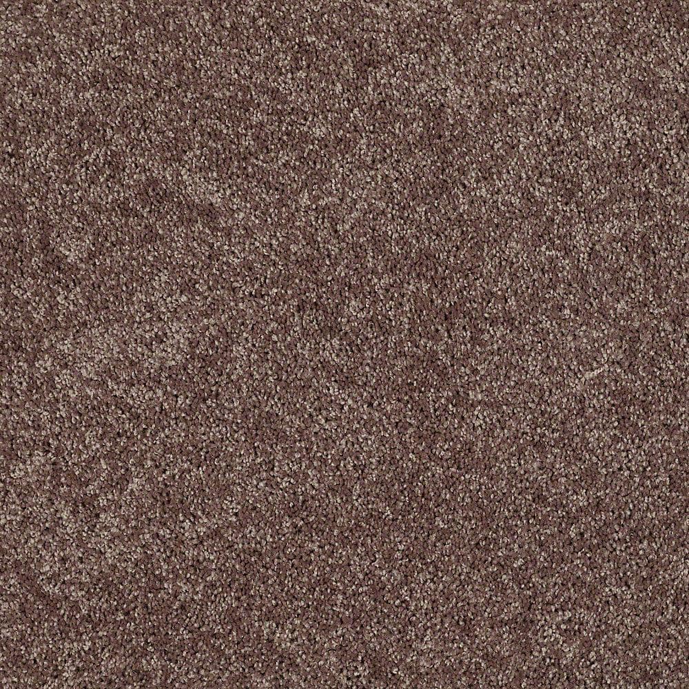 8 in. x 8 in. Texture Carpet Sample - Palmdale II - Color Saddle Soap price history on PriceWatchPro