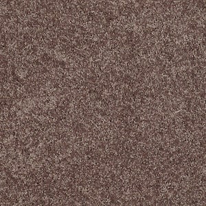 8 in. x 8 in. Texture Carpet Sample - Palmdale II - Color Saddle Soap