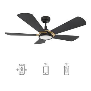 Wilkes 56 in. Dimmable LED Indoor/Outdoor Black Smart Ceiling Fan with Light and Remote, Works with Alexa/Google Home