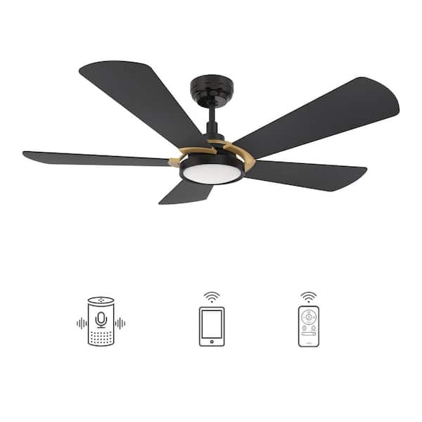 CARRO Wilkes 52 in. Dimmable LED Indoor/Outdoor Black Smart Ceiling Fan with Light and Remote, Works with Alexa/Google Home
