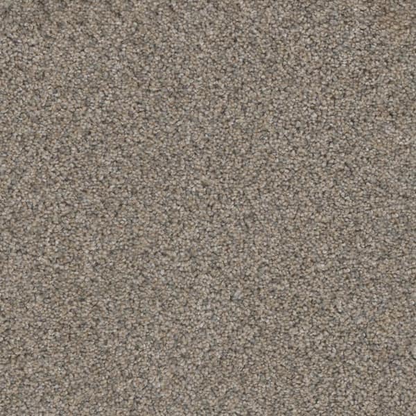 Home Decorators Collection Affectionate II - Trance - Beige 55 oz. SD Polyester Texture Installed Carpet