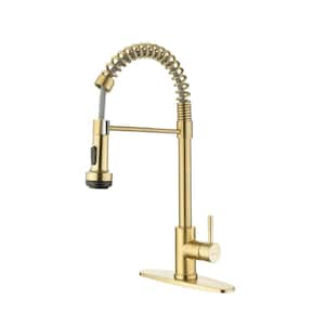 RN Single Handle Pull Down Sprayer Kitchen Faucet with Spring and 4 Modes in Brushed Gold