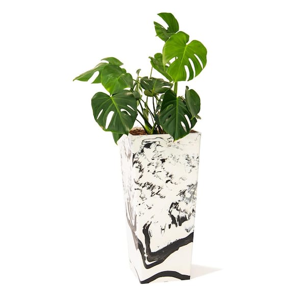 XBRAND 28 in. Tall Modern Square Plastic Planter, Tapered Floor Planter for Indoor and Outdoor, Patio Decor, Black and White