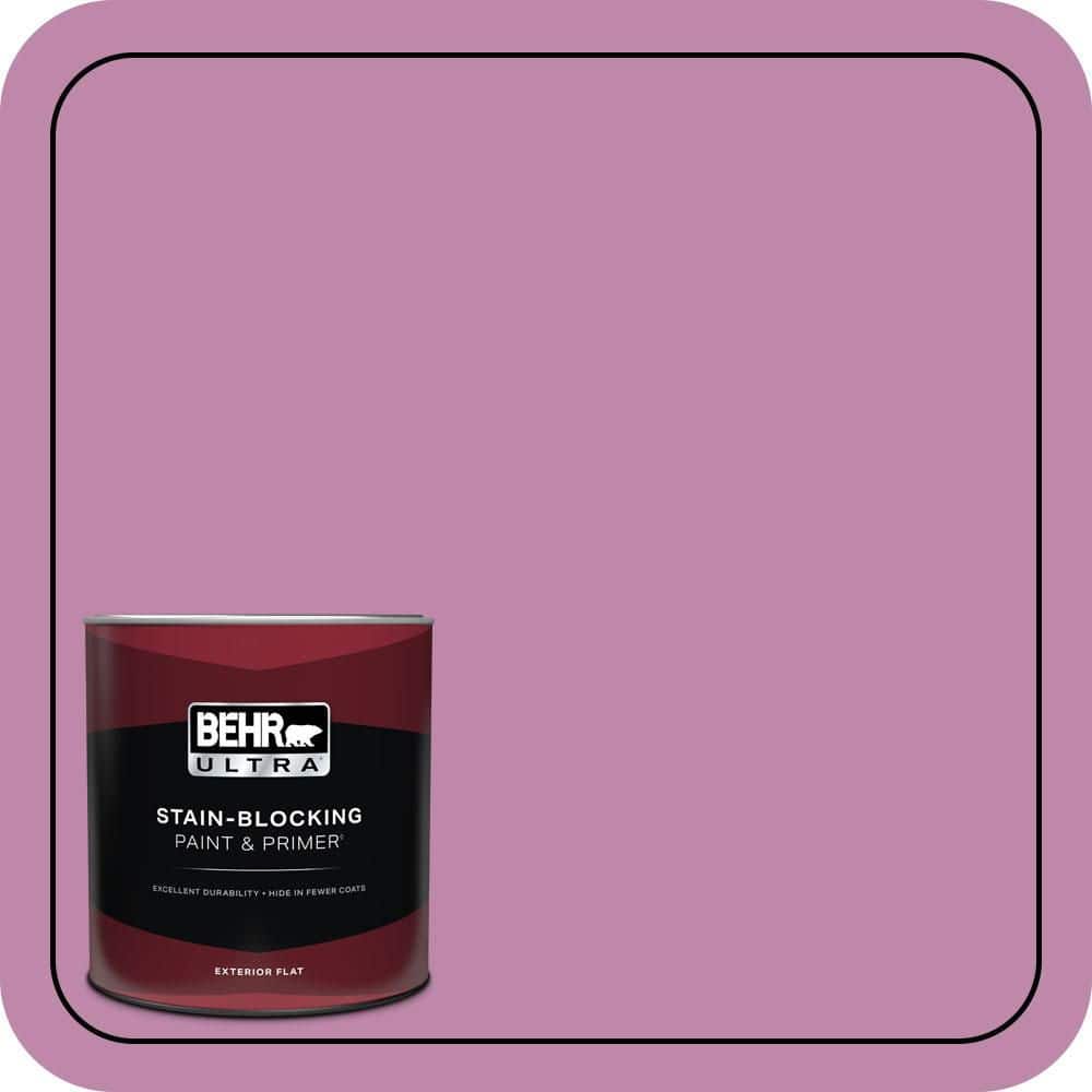 1 qt. #M120-5 Rosy Flat Exterior Paint & Primer price history on PriceWatchPro