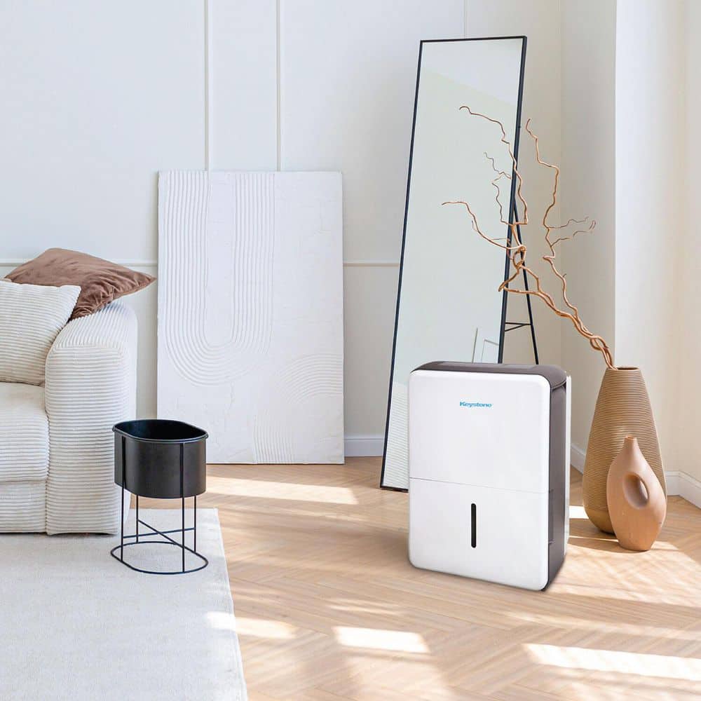 Energy Star White Portable Dehumidifier with Humidistat