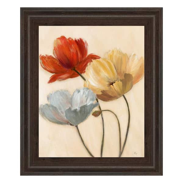 Classy Art 22 in. x 26 in. "Poppy Palette II" by Nan Framed Printed Wall Art