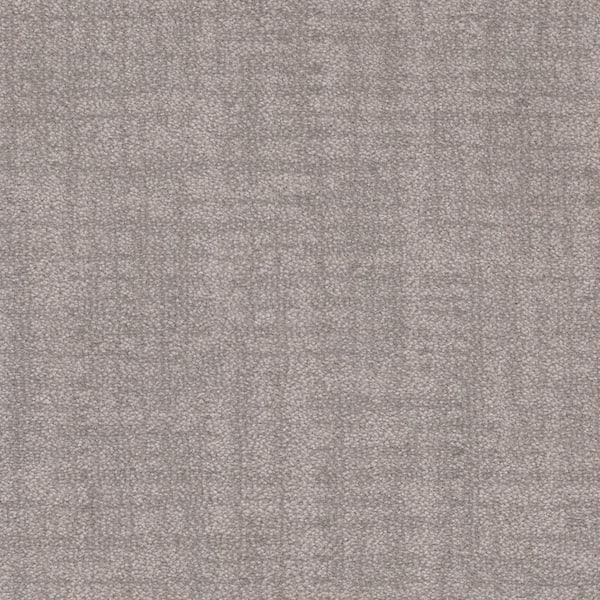 Home Decorators Collection 8 in. x 8 in. Pattern Carpet Sample - Oakland Hills -Color Powder Gray
