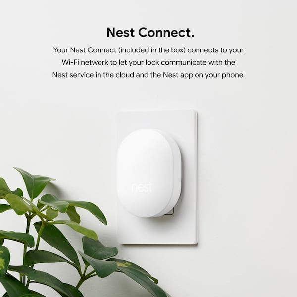 Nest 2024 lock alexa