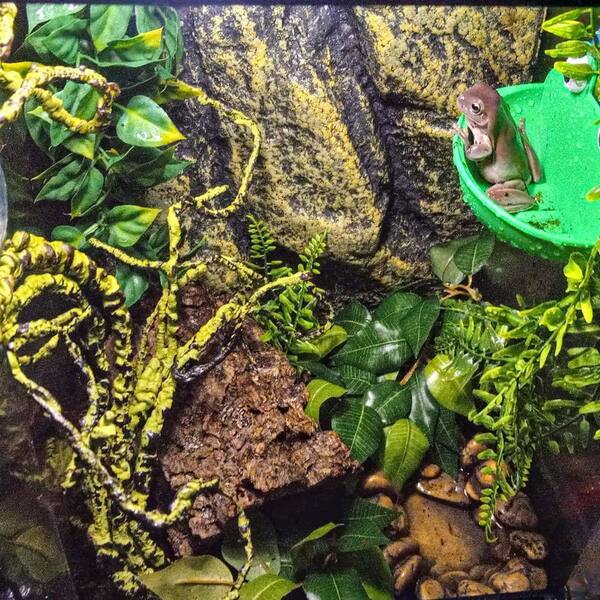 Afoxsos 9.5 in. Green Flexible Artificial Plant Jungle Vine Terrarium Decor for Reptile Amphibian Tank, Lifelike Leaves