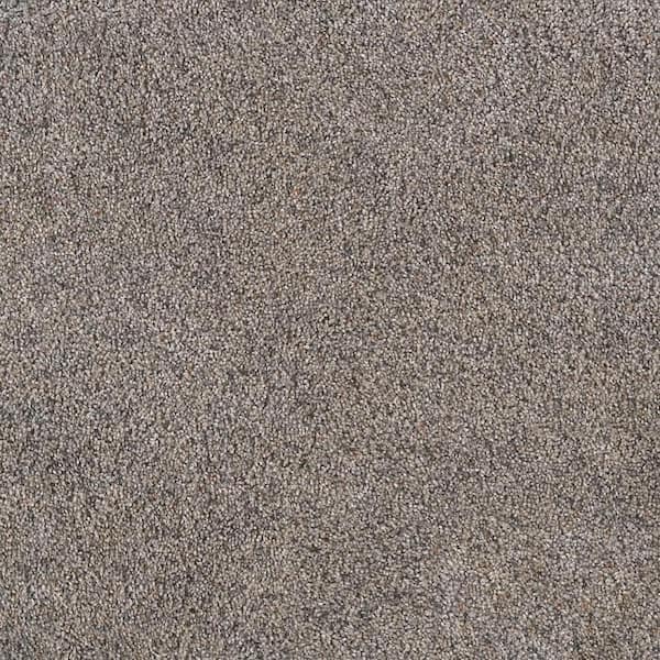 Topaz II - Moose - Beige 55 oz. SD Polyester Texture Installed Carpet