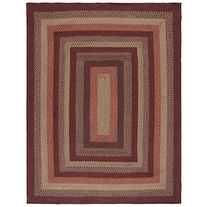 Braided Brown/Rust 8 ft. x 10 ft. Striped Border Area Rug