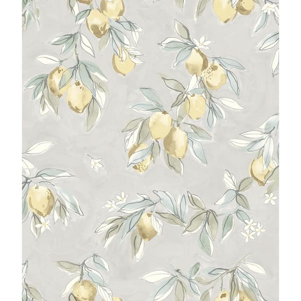 Lemonade Grey Pre-Pasted Non-Woven Wallpaper