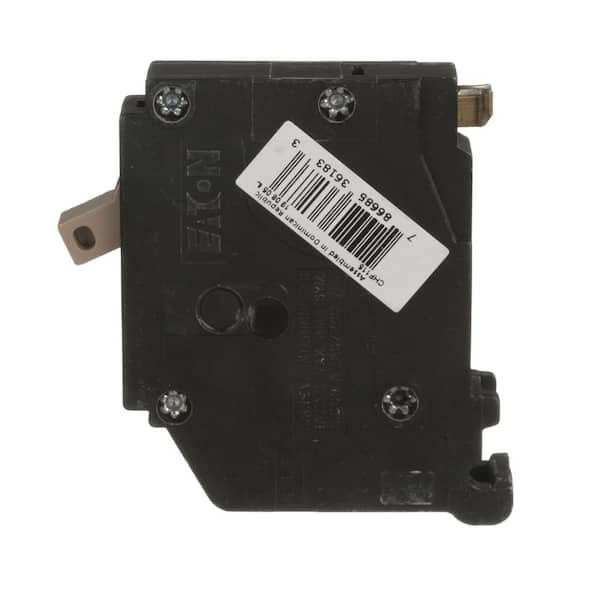 フィンチ　finch　コット 500x500_72dpi
