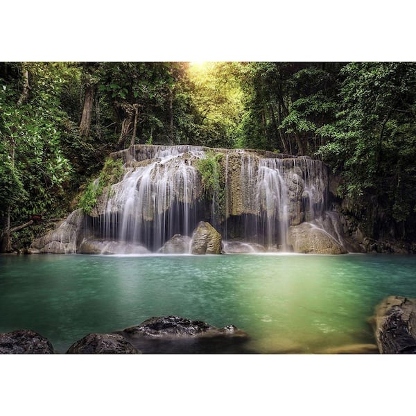 Photo Wallpaper Green jungle - landscape of a wooden rope bridge among the  trees - Forest - Landscapes - Wall Murals