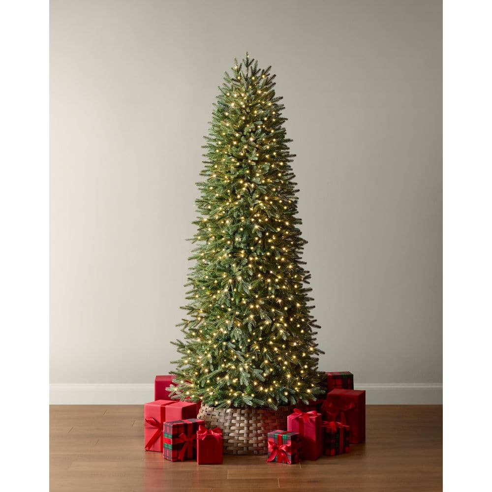 7.5 ft Jackson Noble Fir Slim LED Pre-Lit Artificial Christmas Tree T22
