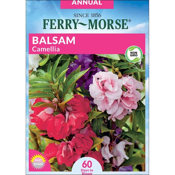 Ferry-Morse Balsam Camellia Flower Seeds