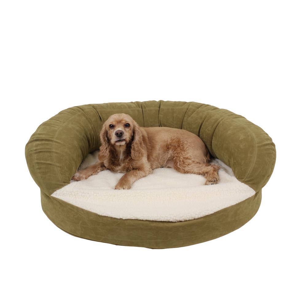 dog whisperer bed