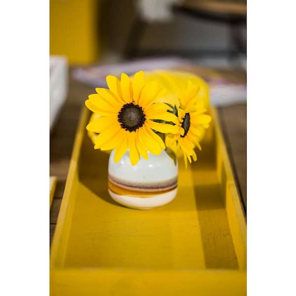 Vigoro 2 Gal. Sunflower Sunfinity Yellow in Decorative Planter