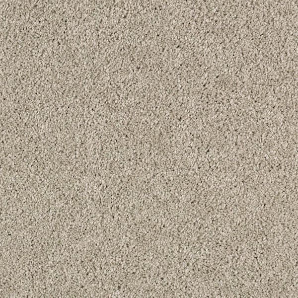 Lifeproof 8 in. x 8 in. Texture Carpet Sample - Ambrosina I -Color Airway