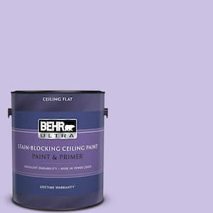 1 gal. #P560-3 Party Hat Ceiling Flat Interior Paint and Primer