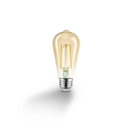 60-Watt Equivalent Wi-Fi Smart ST19 Vintage Edison Filament Tunable White Amber Glass LED Light Bulb