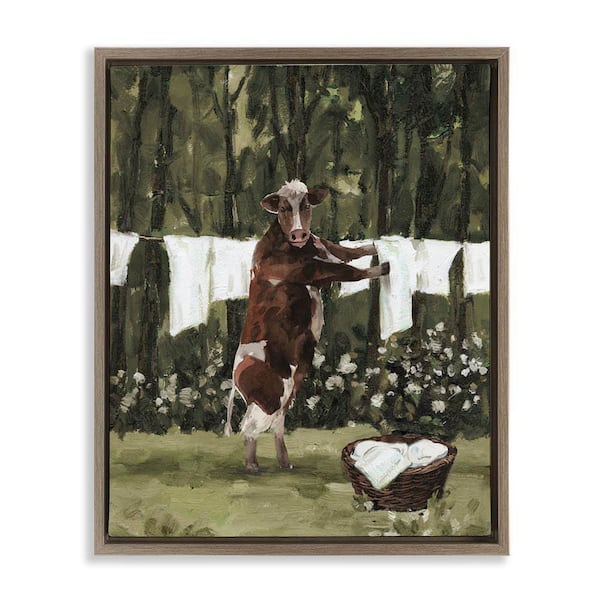 Stupell Industries Brown Cow Doing Laundry by White Ladder Brown Floater Frame Animal Graphic Art Print 31 in. x 25 in.
