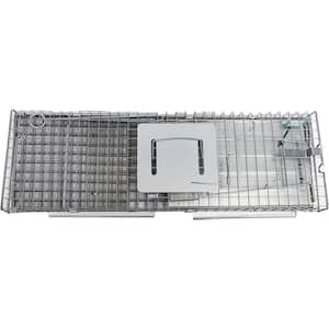 iNova 32in Cage Trap for Live Animals, Cat Trap Cage, Large Collapsible  Metal Cage, Humane Live Animal Trap Cage Catch Release for Rabbit,  Groundhog