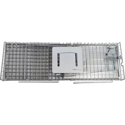 32 in. Folding Live Animal Cage Trap 914048 - The Home Depot