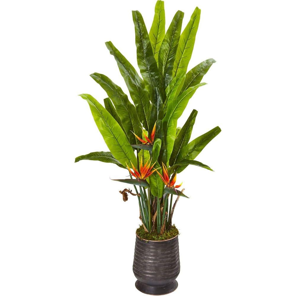62 in. Artificial Green Indoor/Outdoor Bird of Paradise, Faux Tall Leaf Plant, Decorative Statement Accent price history on PriceWatchPro