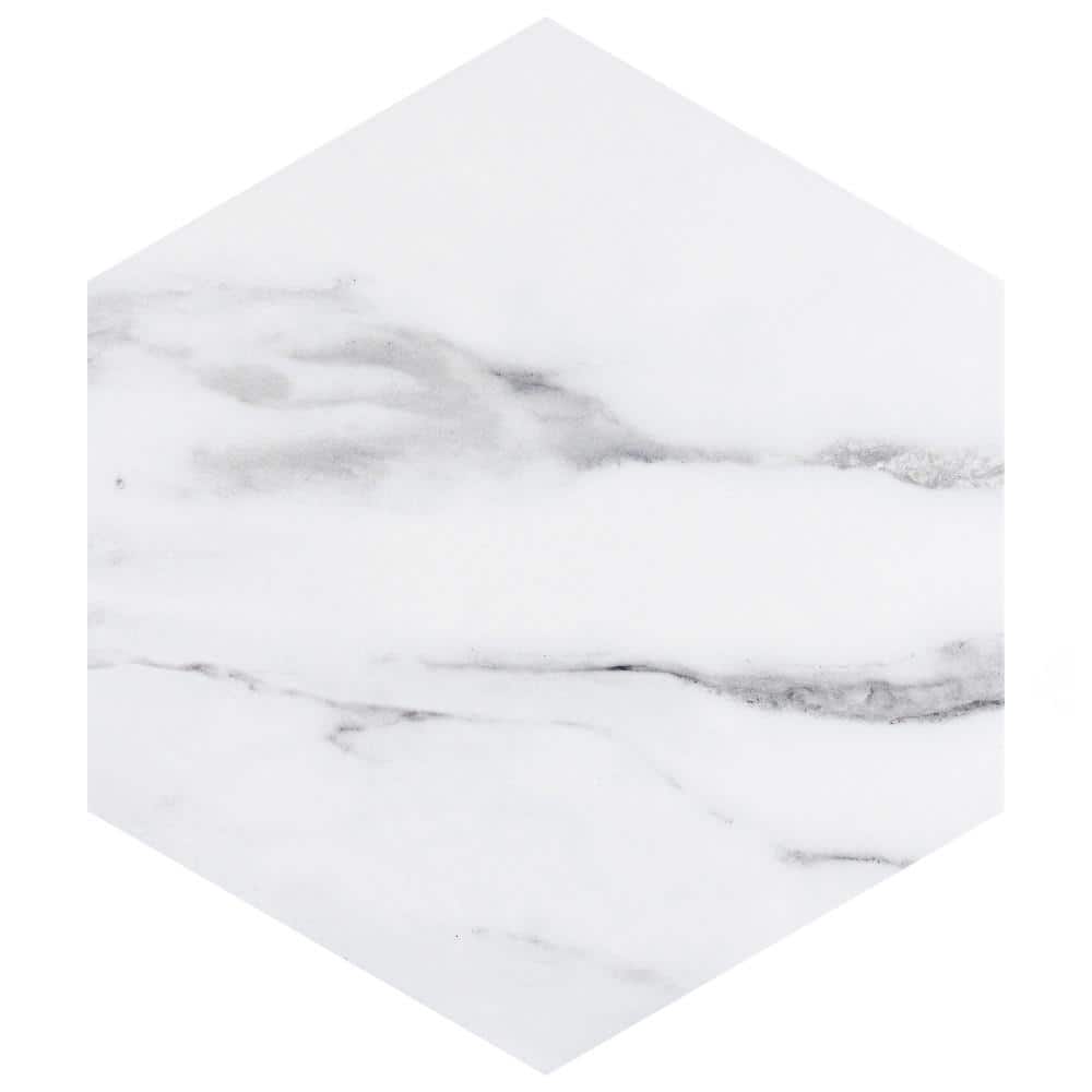 BioTech Hex Venato 11-1/4 in. x 13 in. Porcelain Floor and Wall Take Home Tile Sample price history on PriceWatchPro