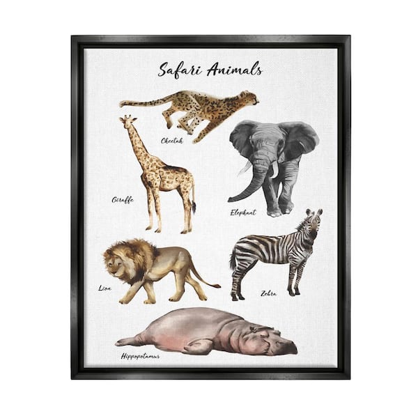 The Stupell Home Decor Collection Safari Animal Chart Playful Watercolor Illustrations by Ziwei Li Floater Frame Animal Wall Art Print 25 in. x 31 in.