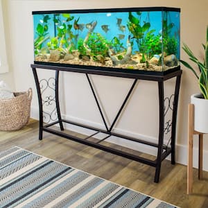 Aquarium Fundamentals Black 27.8 in. Accent Cabinet with 1 Shelf in Powder Coated Steel for 55 gal. Aquariums