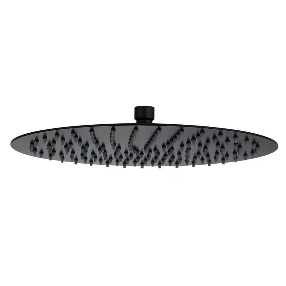 1-Spray Patterns 10 in. Single Ceiling Mount Fixed Shower Head in Black