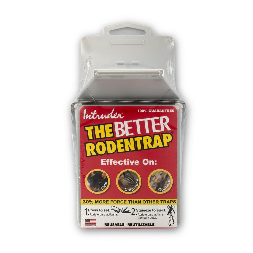Intruder The Better Rodent Trap (Single)