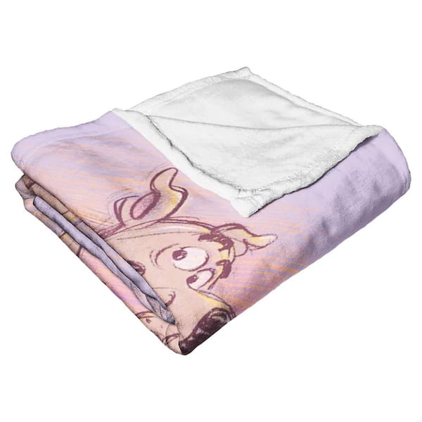 THE NORTHWEST GROUP Warner Scooby Doo Silk Touch Multi