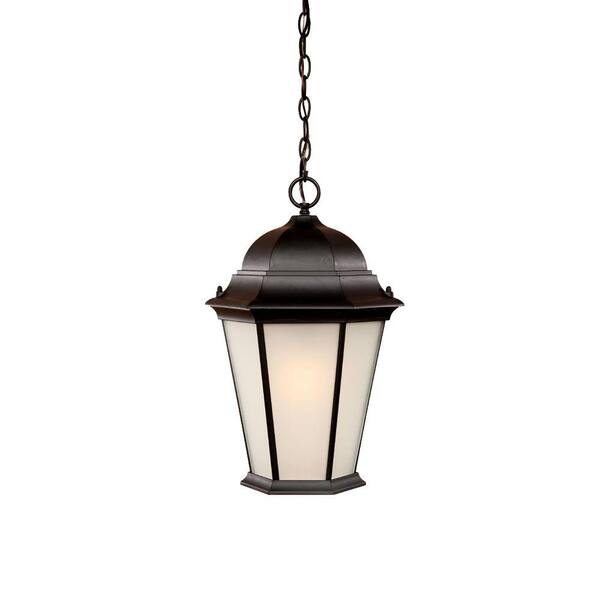 Acclaim Lighting Richmond Collection Hanging Outdoor 1-Light Matte Black Lantern