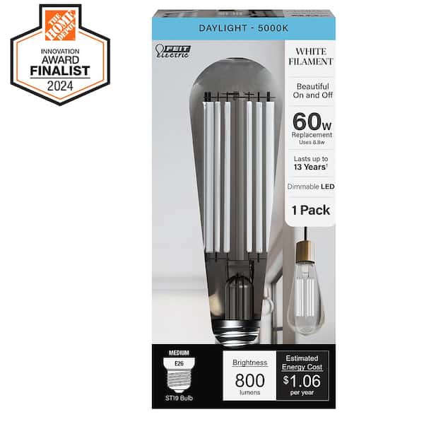 Feit Electric 60-Watt Equivalent ST19 Dimmable White Filament Clear Glass E26 Vintage Edison LED Light Bulb, Daylight 5000K