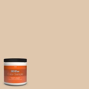 8 oz. #N260-2 Almond Latte Flat Interior/Exterior Paint & Primer Color Sample